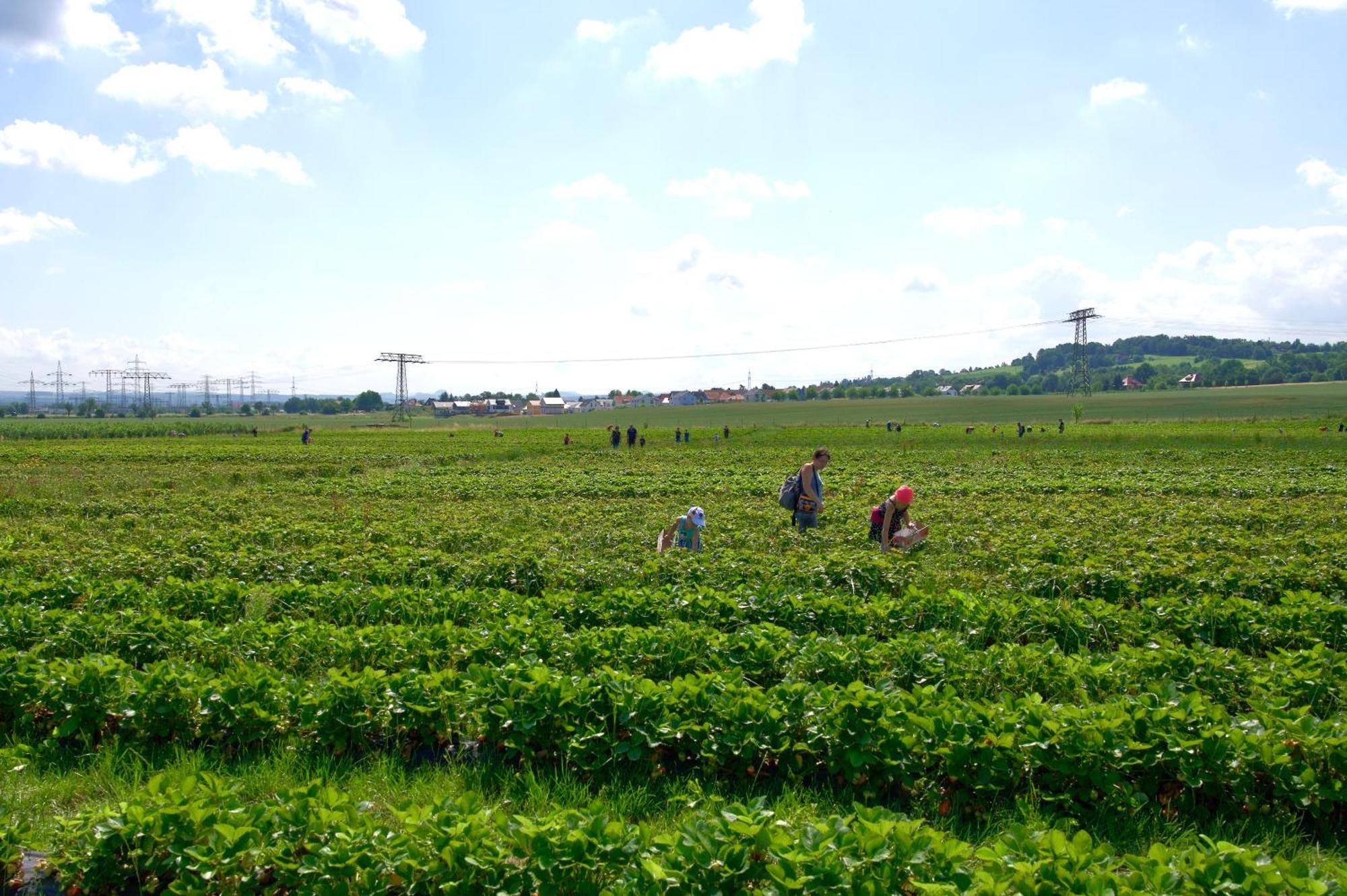 An Der Plantage Сasa de vacaciones